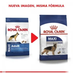 Outlet Royal Canin Adulto Maxi Adult 15 Kg Alimento Para Perro