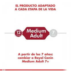 Outlet Royal Canin Adulto Medium Adult Alimento Para Perro