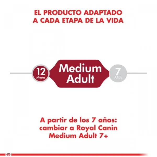 Outlet Royal Canin Adulto Medium Adult Alimento Para Perro