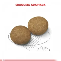 Outlet Royal Canin Adulto Medium Adult Alimento Para Perro