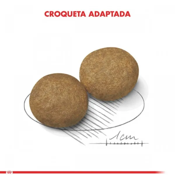 Outlet Royal Canin Adulto Medium Adult Alimento Para Perro
