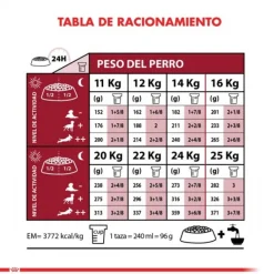 Outlet Royal Canin Adulto Medium Adult Alimento Para Perro