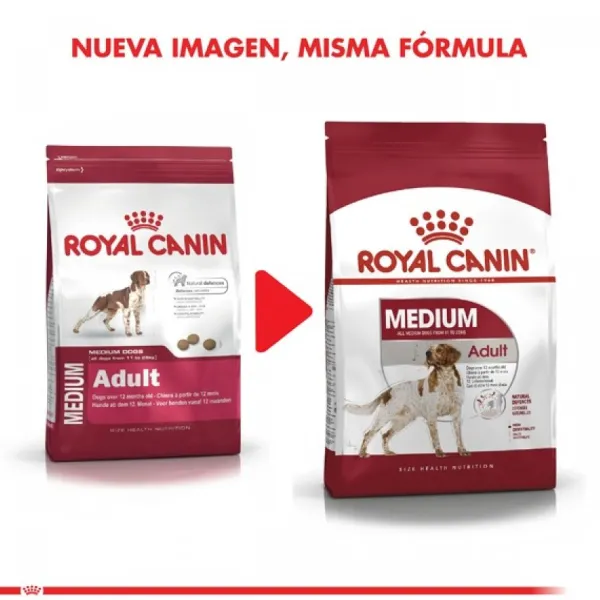 Outlet Royal Canin Adulto Medium Adult Alimento Para Perro