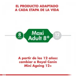 Sale Royal Canin Adulto Mini Adult +8 Alimento Para Perro