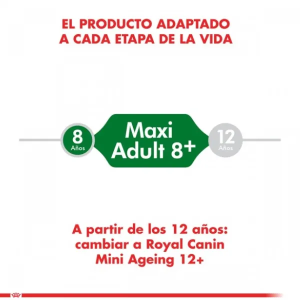 Sale Royal Canin Adulto Mini Adult +8 Alimento Para Perro