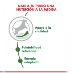 Sale Royal Canin Adulto Mini Adult +8 Alimento Para Perro