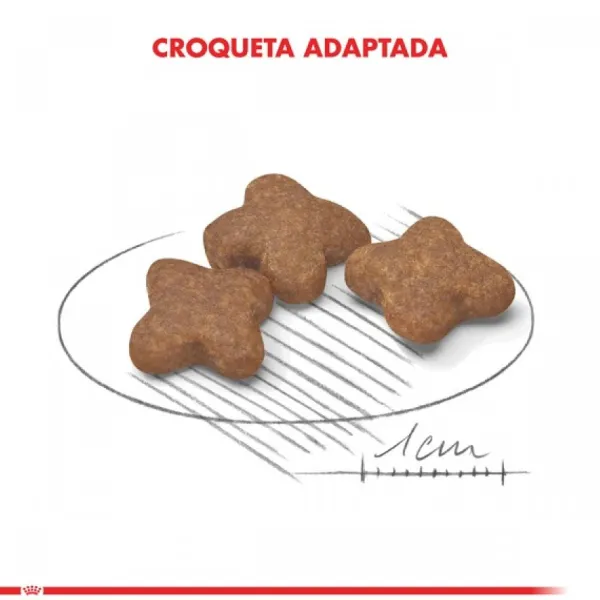 Sale Royal Canin Adulto Mini Adult +8 Alimento Para Perro