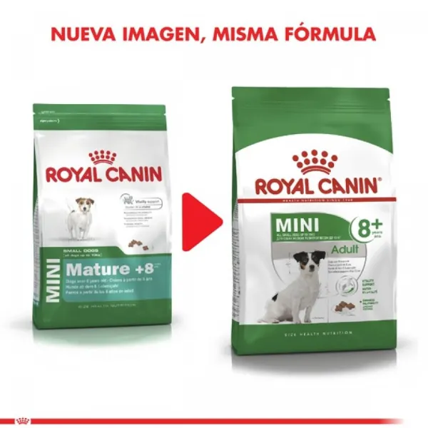 Sale Royal Canin Adulto Mini Adult +8 Alimento Para Perro