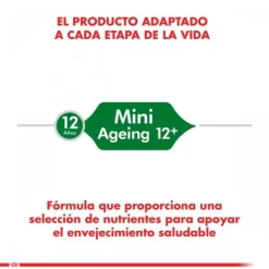 New Royal Canin Adulto Mini Ageing 12+ Alimento Para Perro