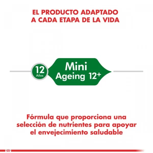 New Royal Canin Adulto Mini Ageing 12+ Alimento Para Perro