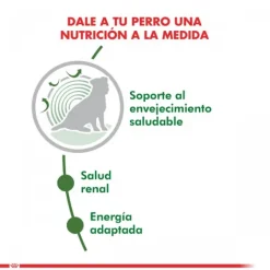 New Royal Canin Adulto Mini Ageing 12+ Alimento Para Perro