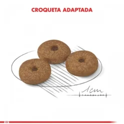 New Royal Canin Adulto Mini Ageing 12+ Alimento Para Perro