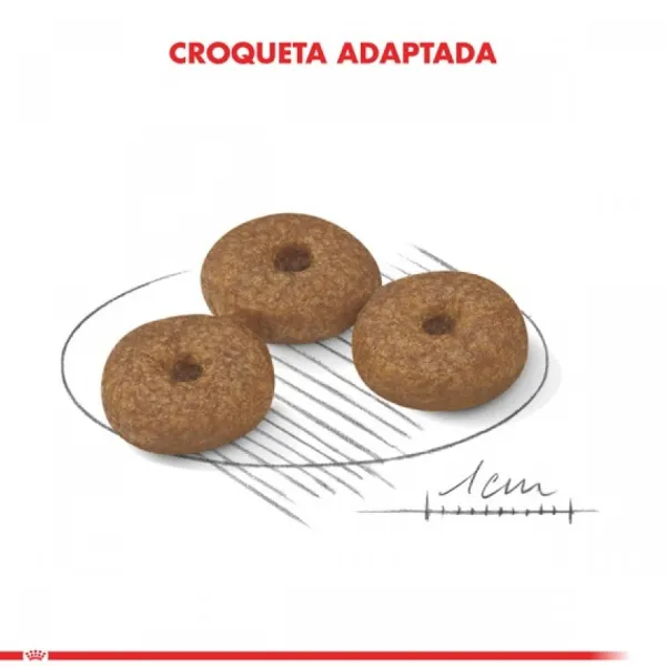 New Royal Canin Adulto Mini Ageing 12+ Alimento Para Perro