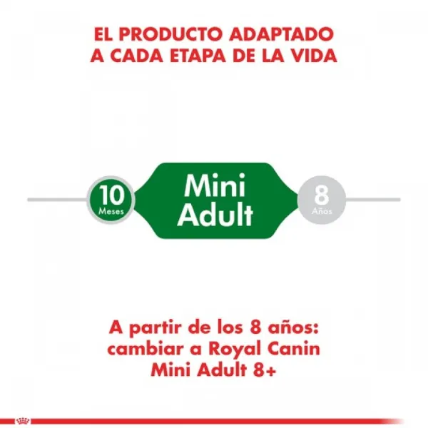 Online Royal Canin Adulto Mini Adult Alimento Para Perro