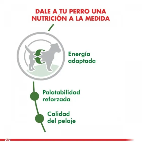 Online Royal Canin Adulto Mini Adult Alimento Para Perro