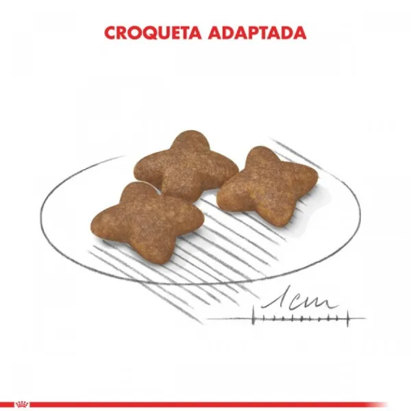 Online Royal Canin Adulto Mini Adult Alimento Para Perro