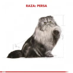 Outlet Royal Canin Adulto Persian 1.5 Kg Alimento Para Gato
