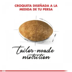 Outlet Royal Canin Adulto Persian 1.5 Kg Alimento Para Gato