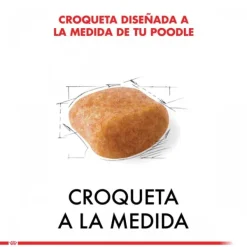 Online Royal Canin Adulto Poodle Adult Alimento Para Perro