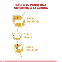 Online Royal Canin Adulto Poodle Adult Alimento Para Perro