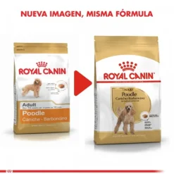 Online Royal Canin Adulto Poodle Adult Alimento Para Perro