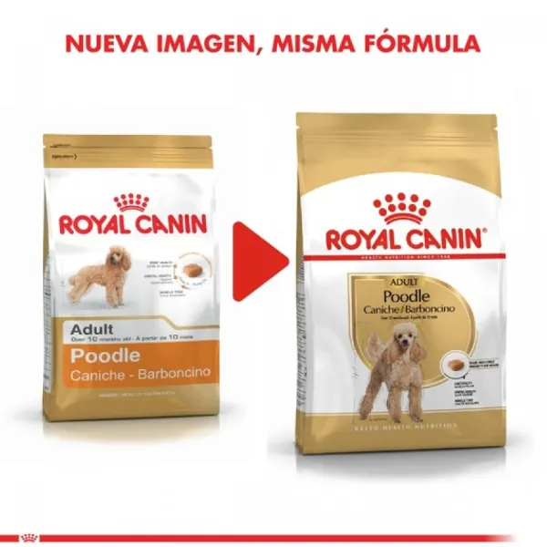Online Royal Canin Adulto Poodle Adult Alimento Para Perro