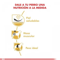 Hot Royal Canin Adulto Pug Adult 2.5 Kg Alimento Para Perro
