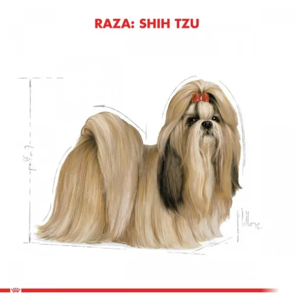 Sale Royal Canin Adulto Shih Tzu Alimento Para Perro