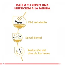 Sale Royal Canin Adulto Shih Tzu Alimento Para Perro