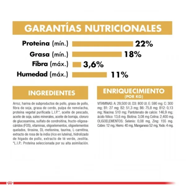 Sale Royal Canin Adulto Shih Tzu Alimento Para Perro