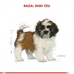Sale Royal Canin Adulto Shih Tzu Alimento Para Perro