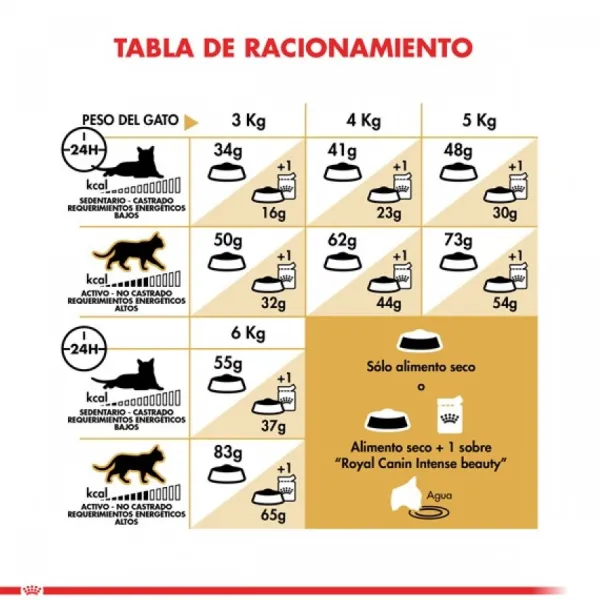 Royal Canin Adulto Siamese 1.5 Kg Alimento Para Gato