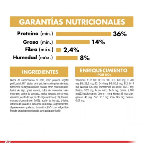 Royal Canin Adulto Siamese 1.5 Kg Alimento Para Gato