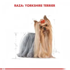 Clearance Royal Canin Adulto Yorkshire Terrier Adult Alimento Para Perro