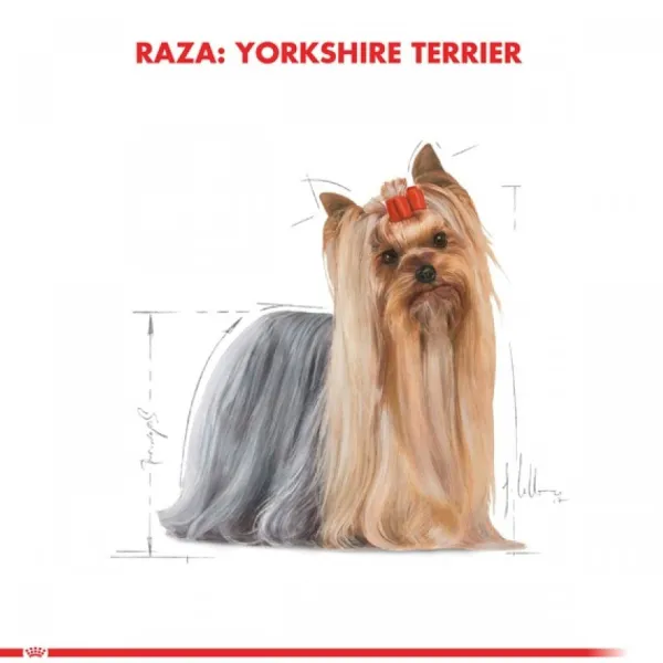 Clearance Royal Canin Adulto Yorkshire Terrier Adult Alimento Para Perro
