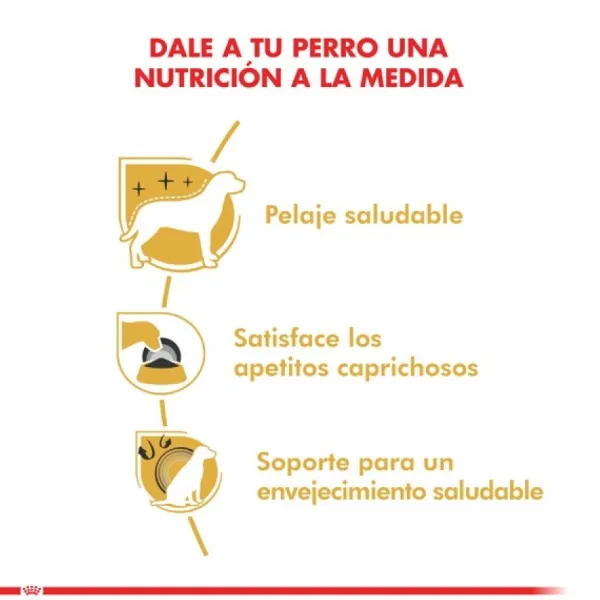 Clearance Royal Canin Adulto Yorkshire Terrier Adult Alimento Para Perro
