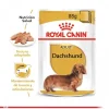 Online Royal Canin Alimento H Medo Perro Adulto Dachshund