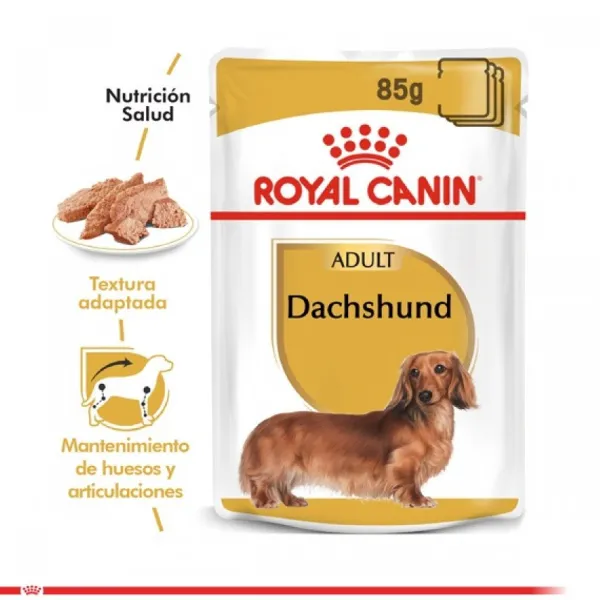 Online Royal Canin Alimento H Medo Perro Adulto Dachshund