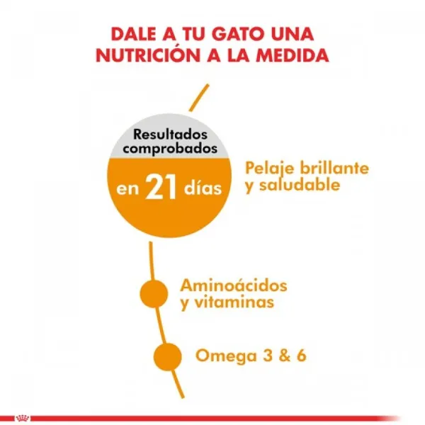 New Royal Canin Alimento Seco Gato Adulto Hair & Skin