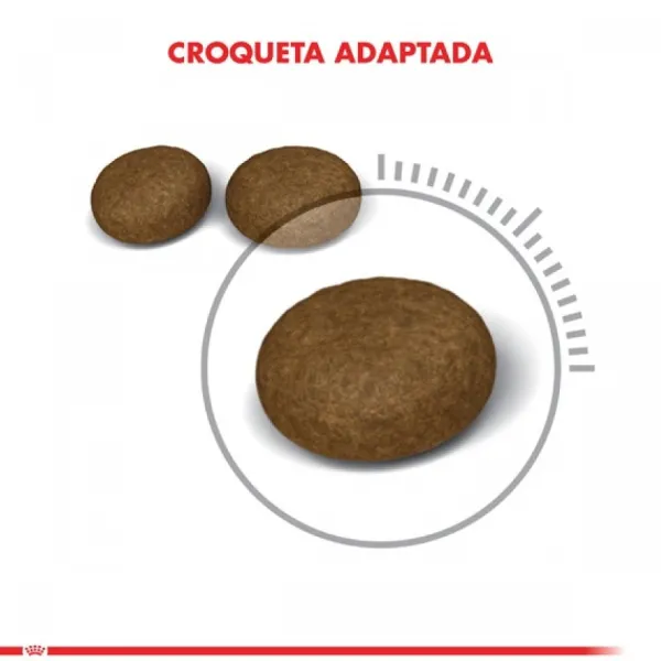 New Royal Canin Alimento Seco Gato Adulto Hair & Skin