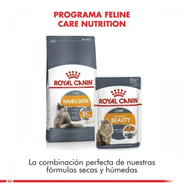 New Royal Canin Alimento Seco Gato Adulto Hair & Skin