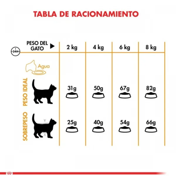 New Royal Canin Alimento Seco Gato Adulto Hair & Skin