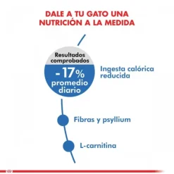 Hot Royal Canin Alimento Seco Gato Adulto Light Weight