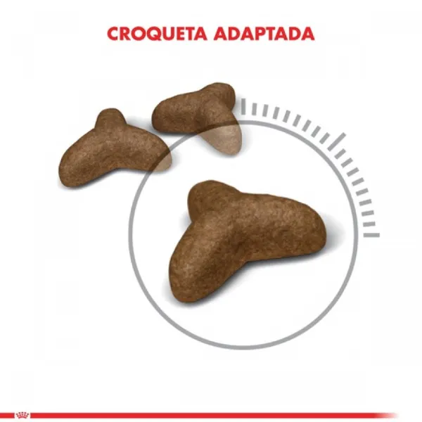 Hot Royal Canin Alimento Seco Gato Adulto Light Weight