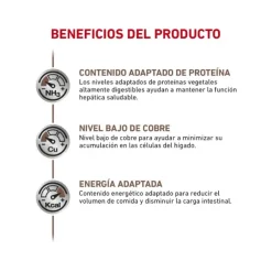 Best Royal Canin Alimento Seco Perro Adulto Hepatic