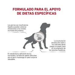 Best Royal Canin Alimento Seco Perro Adulto Hepatic