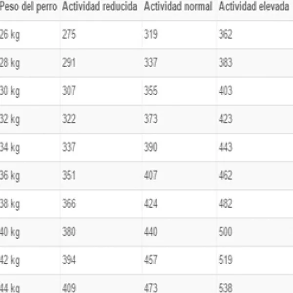 Clearance Royal Canin Alimento Seco Perro Adulto Maxi Dermacomfort