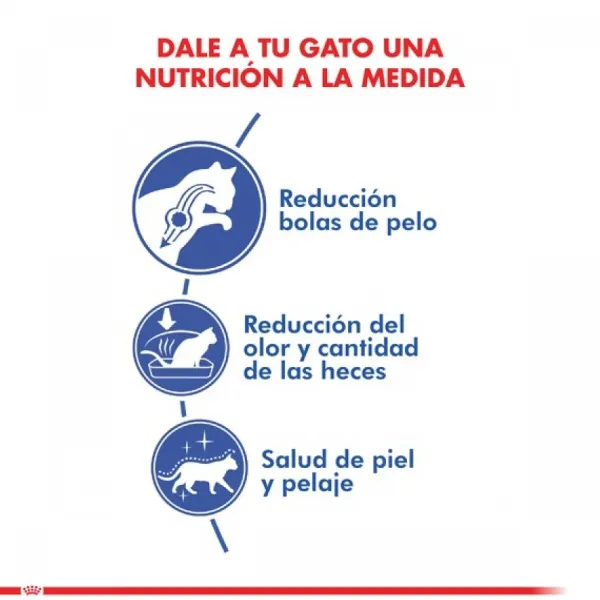 New Royal Canin Alimento Seco Gato Adulto Indoor Long Hair