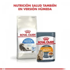 New Royal Canin Alimento Seco Gato Adulto Indoor Long Hair