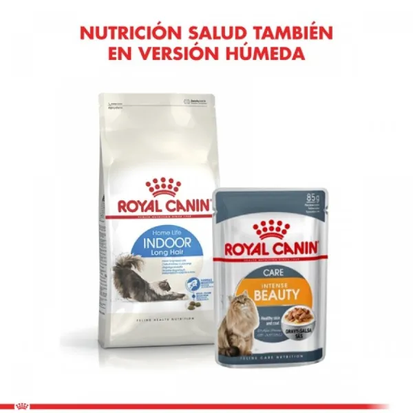 New Royal Canin Alimento Seco Gato Adulto Indoor Long Hair